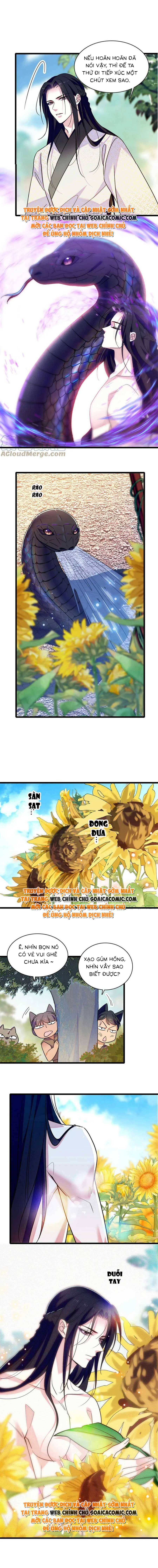 Ninita Yêu Dấu - Phần 2 Chap 574.1 - Next Chap 575.1