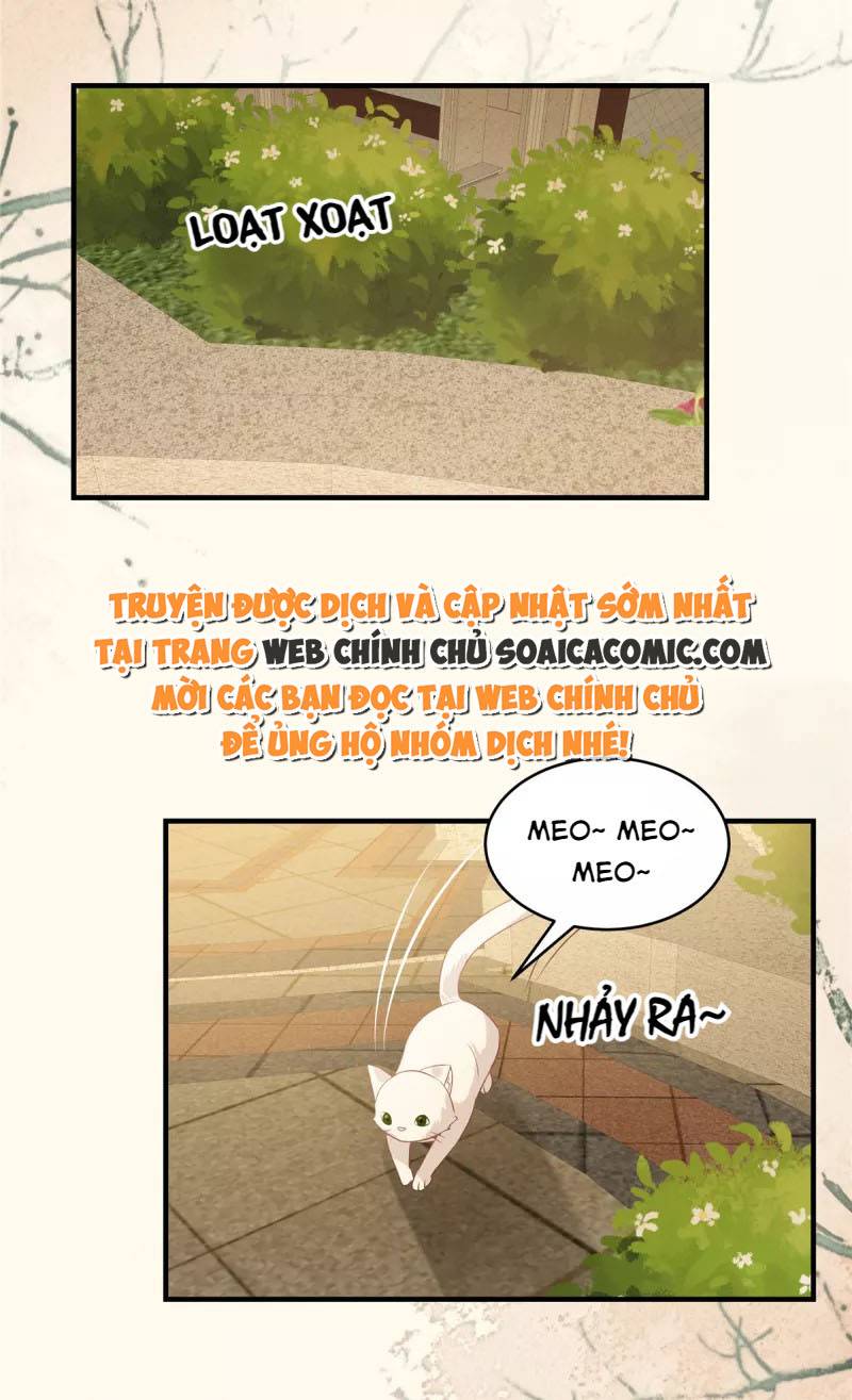 Ninita Yêu Dấu - Phần 2 Chap 586.6 - Next Chap 587.6
