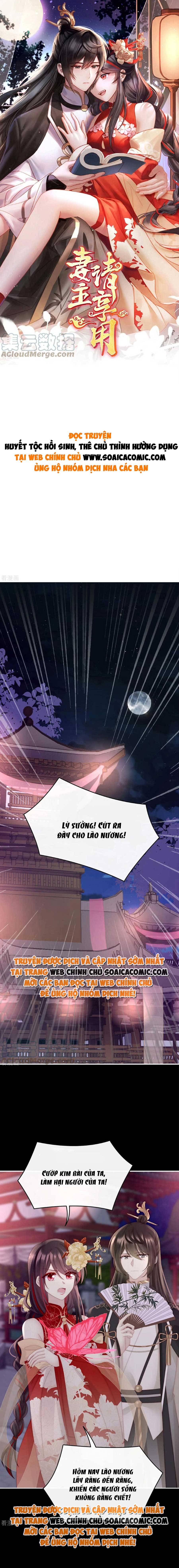 Ninita Yêu Dấu - Phần 2 Chap 601.8 - Next Chap 602.8
