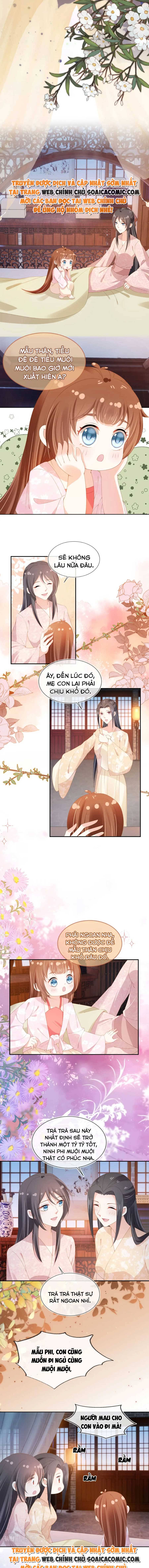 Ninita Yêu Dấu - Phần 2 Chap 616.5 - Next Chap 617.5