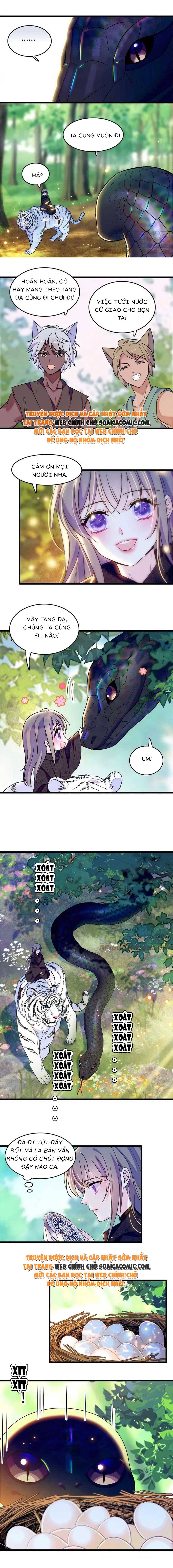 Ninita Yêu Dấu - Phần 2 Chap 647.9 - Next Chap 648.9