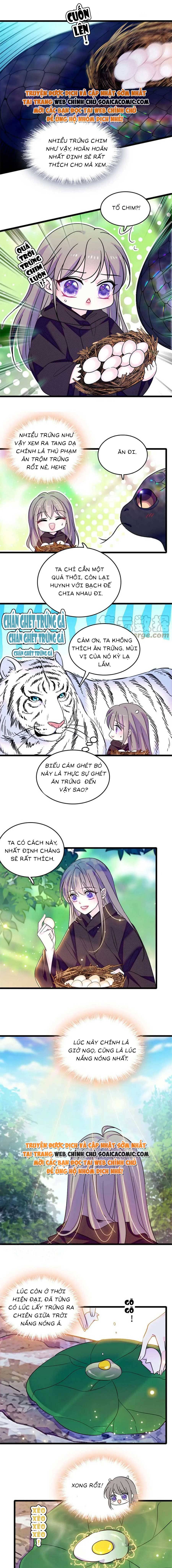 Ninita Yêu Dấu - Phần 2 Chap 647.9 - Next Chap 648.9