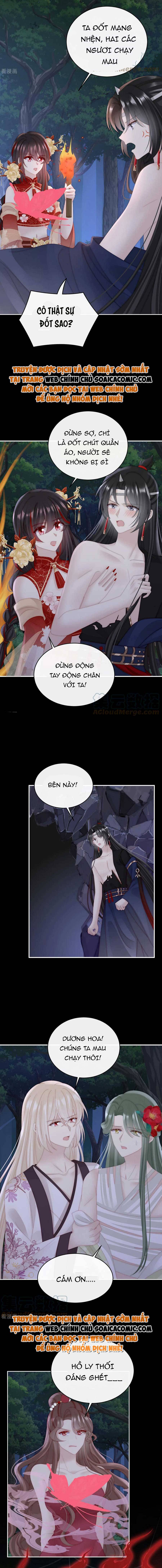 Ninita Yêu Dấu - Phần 2 Chap 667.5 - Next Chap 668.5