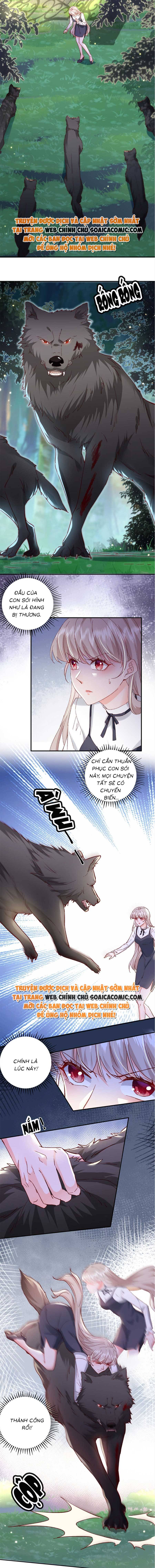Ninita Yêu Dấu - Phần 2 Chap 670.1 - Next Chap 671.1