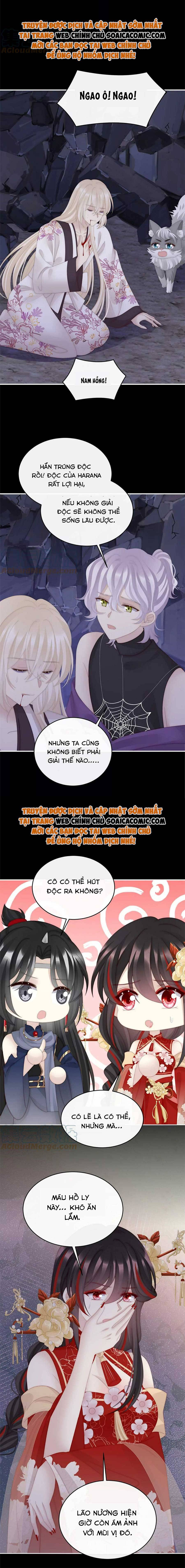 Ninita Yêu Dấu - Phần 2 Chap 676.2 - Next Chap 677.2