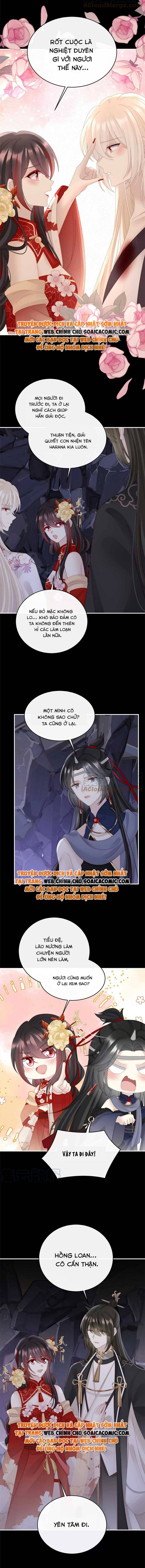 Ninita Yêu Dấu - Phần 2 Chap 676.2 - Next Chap 677.2