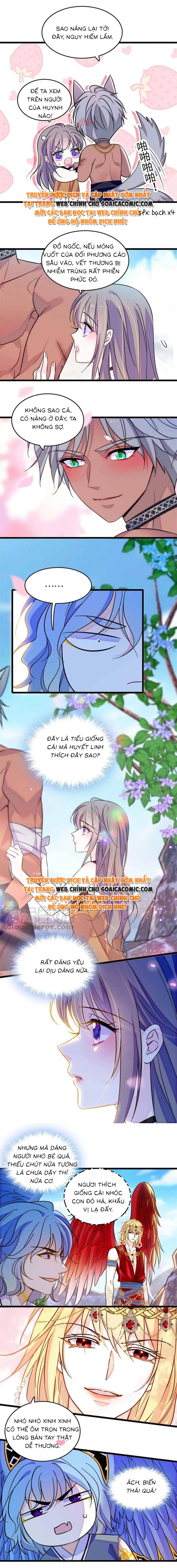 Ninita Yêu Dấu - Phần 2 Chap 677.2 - Next Chap 678.2