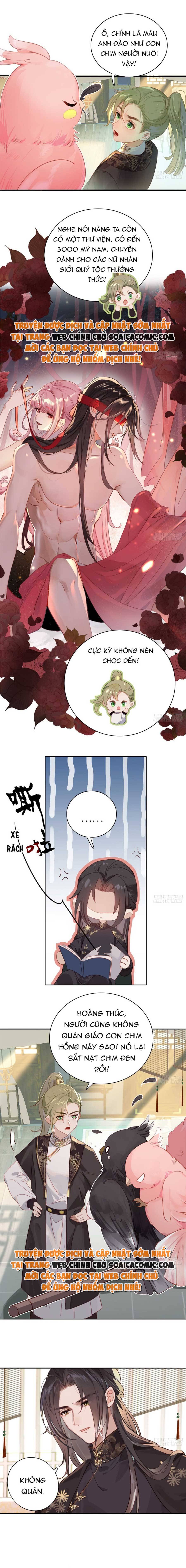 Ninita Yêu Dấu - Phần 2 Chap 677.5 - Next Chap 678.5