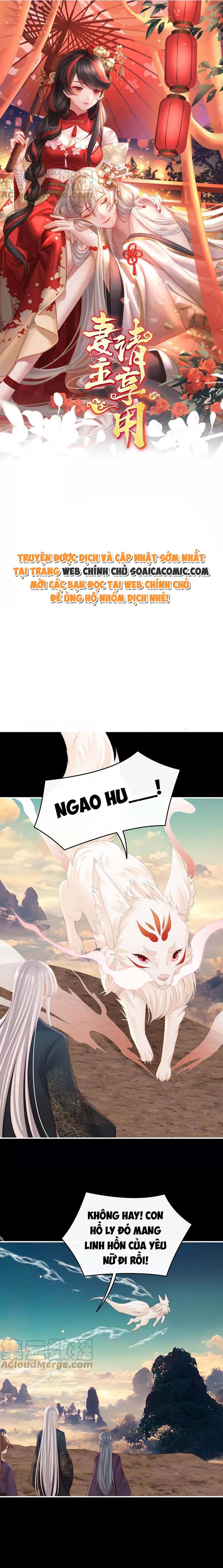 Ninita Yêu Dấu - Phần 2 Chap 698.8 - Next Chap 699.8