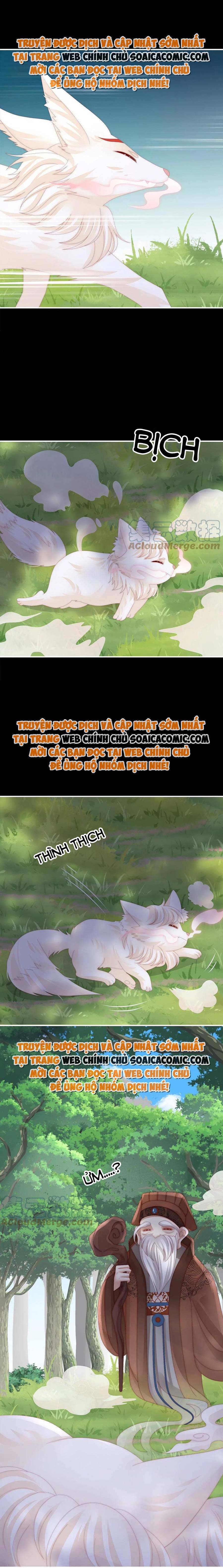 Ninita Yêu Dấu - Phần 2 Chap 698.8 - Next Chap 699.8