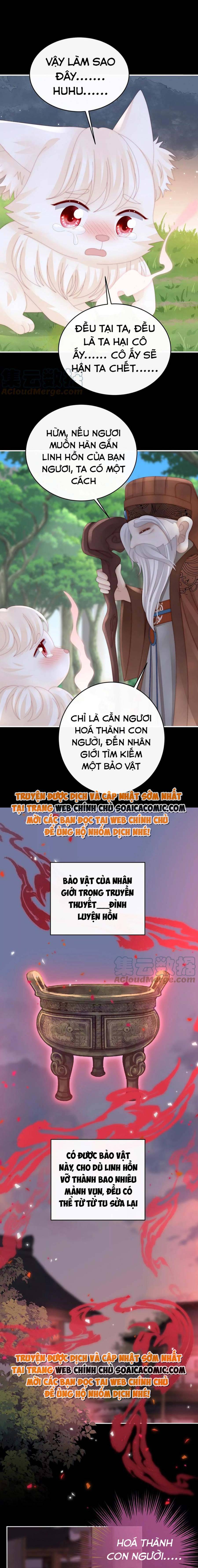 Ninita Yêu Dấu - Phần 2 Chap 698.8 - Next Chap 699.8