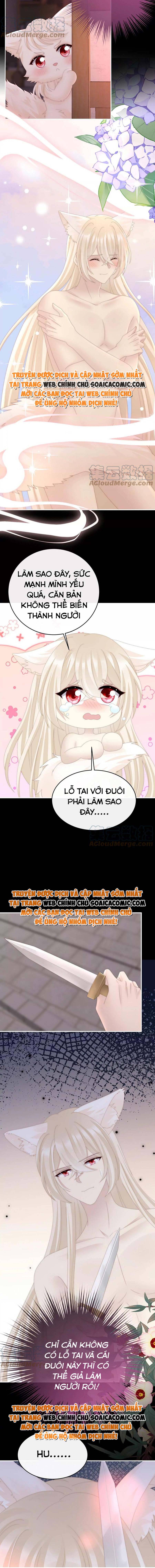 Ninita Yêu Dấu - Phần 2 Chap 698.8 - Next Chap 699.8