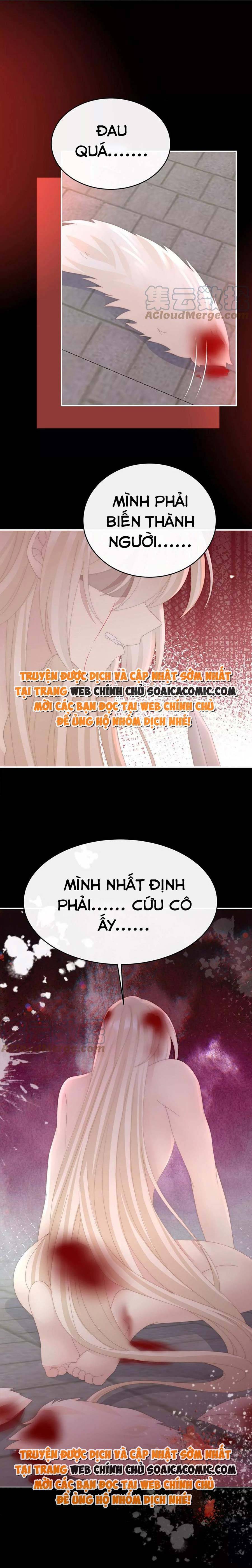 Ninita Yêu Dấu - Phần 2 Chap 698.8 - Next Chap 699.8