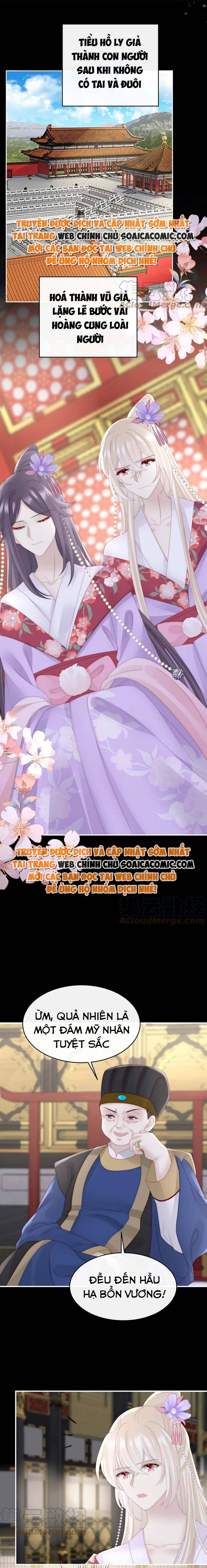 Ninita Yêu Dấu - Phần 2 Chap 698.8 - Next Chap 699.8