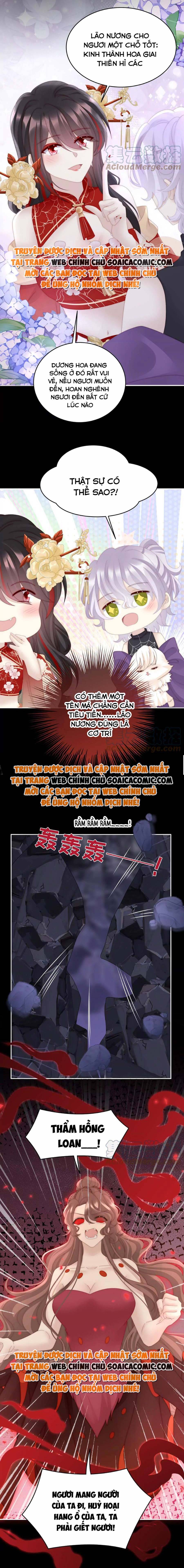 Ninita Yêu Dấu - Phần 2 Chap 698.9 - Next Chap 699.9