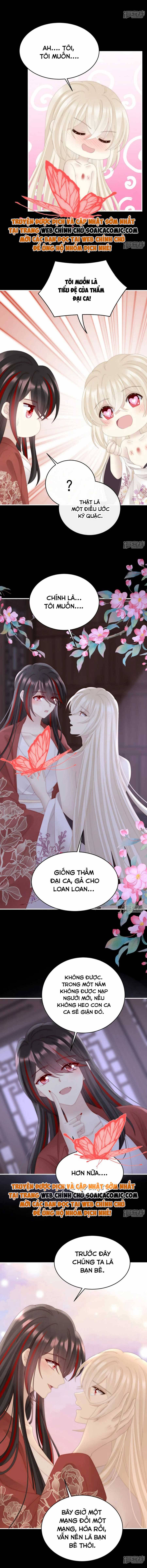 Ninita Yêu Dấu - Phần 2 Chap 704.8 - Next Chap 705.8