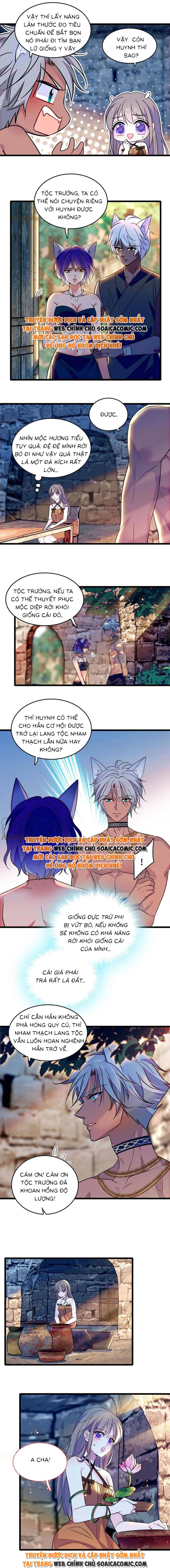 Ninita Yêu Dấu - Phần 2 Chap 718.8 - Next Chap 719.8