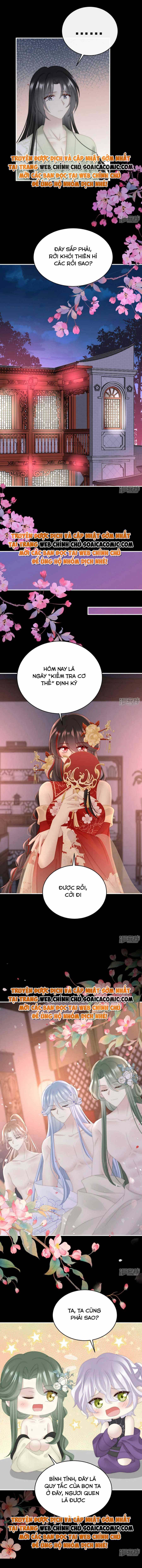 Ninita Yêu Dấu - Phần 2 Chap 724.5 - Next Chap 725.5