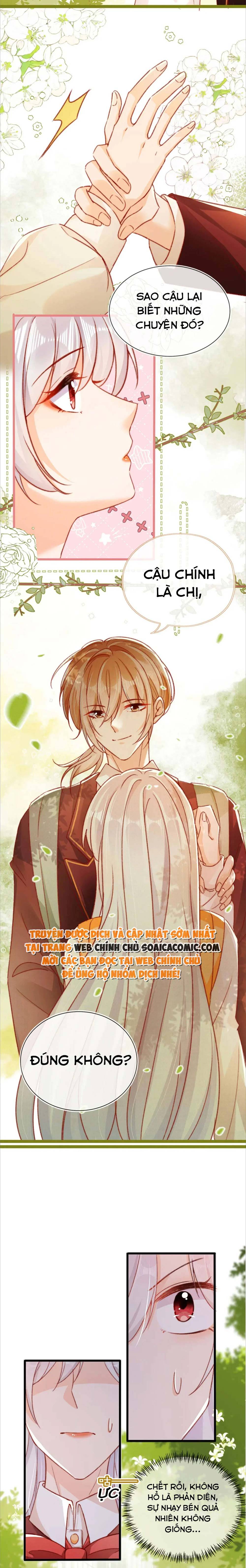 Ninita Yêu Dấu - Phần 2 Chap 736.4 - Next Chap 737.4