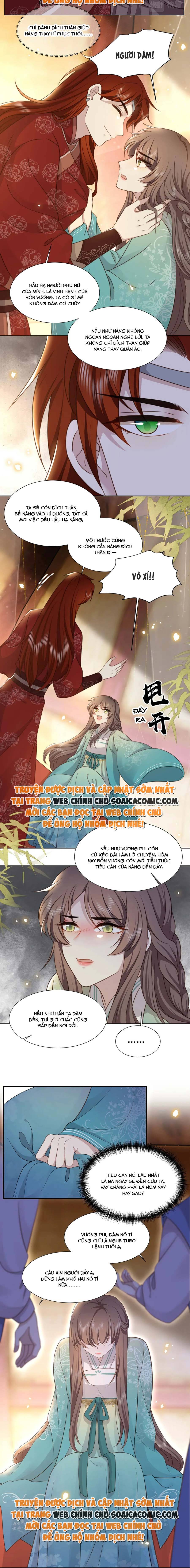 Ninita Yêu Dấu - Phần 2 Chap 799.5 - Next Chap 800.5