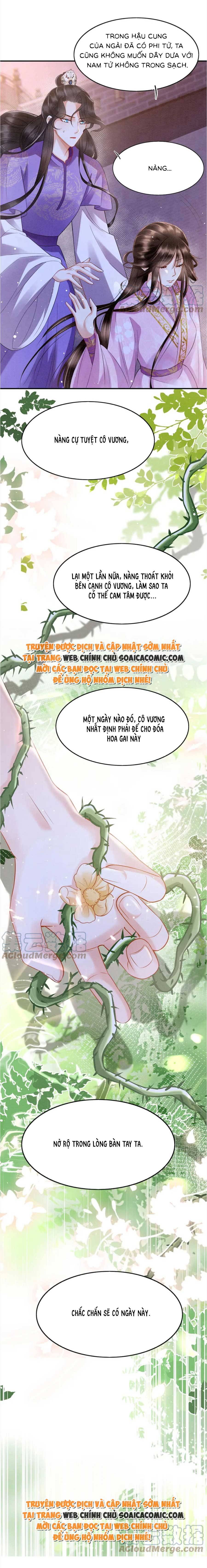 Ninita Yêu Dấu - Phần 2 Chap 804.1 - Next Chap 805.1