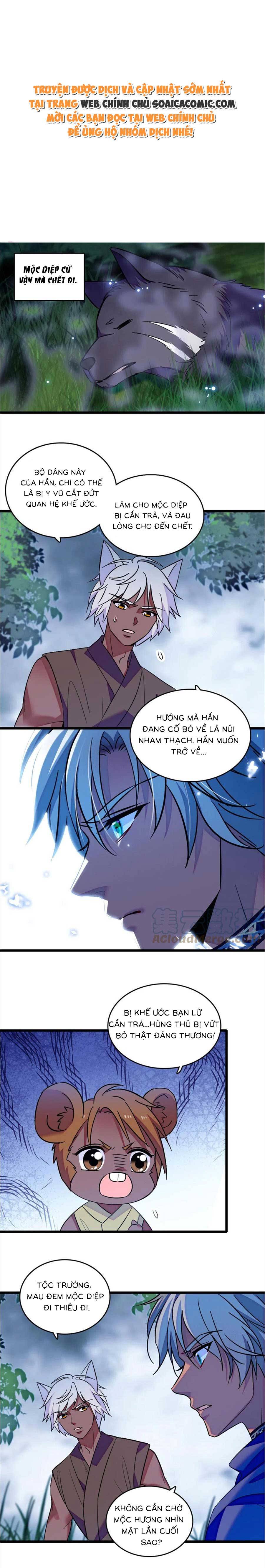 Ninita Yêu Dấu - Phần 2 Chap 806.2 - Next Chap 807.2
