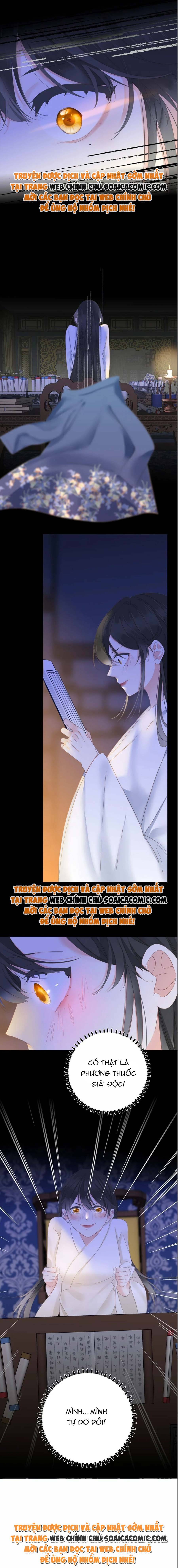 Ninita Yêu Dấu - Phần 2 Chap 870.8 - Next Chap 871.8