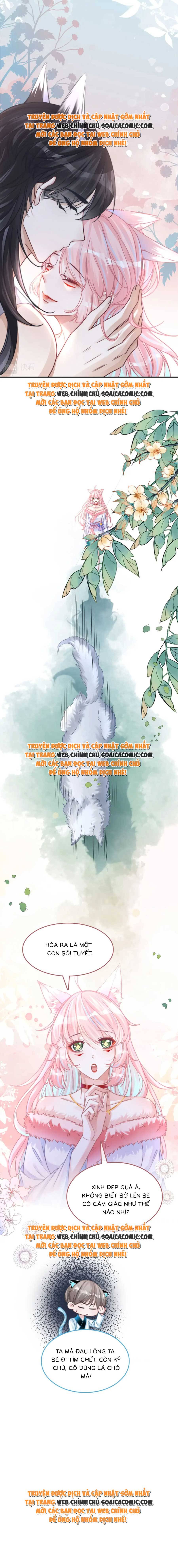 Ninita Yêu Dấu - Phần 2 Chap 900.7 - Next Chap 901.7