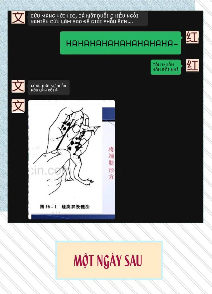 Ninita Yêu Dấu - Phần 2 Chap 907.9 - Next Chap 908.9