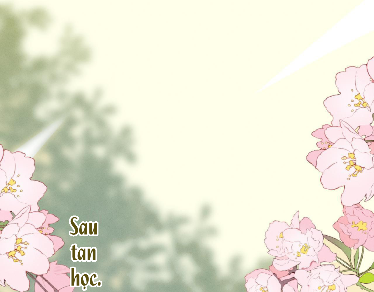 Ninita Yêu Dấu - Phần 2 Chap 915.3 - Next Chap 916.3