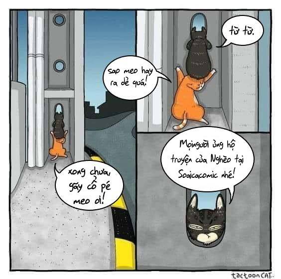 Ninita Yêu Dấu - Phần 2 Chap 919.7 - Next Chap 920.7