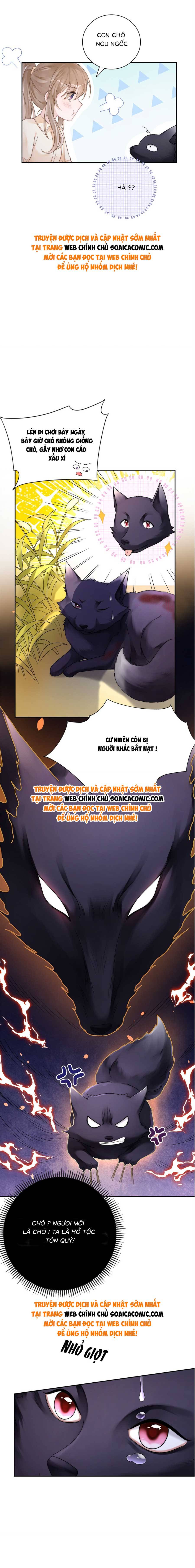 Ninita Yêu Dấu - Phần 2 Chap 939.9 - Next Chap 940.9