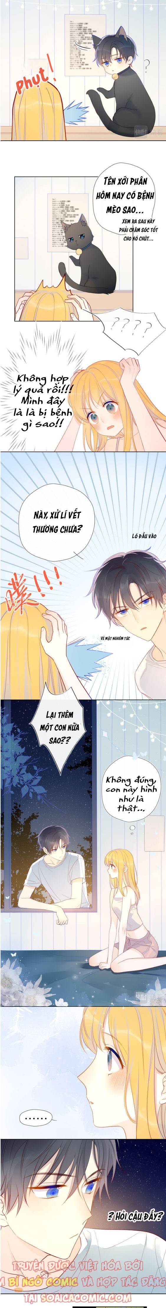 Ninita Yêu Dấu - Phần 2 Chap 942.5 - Next Chap 943.5