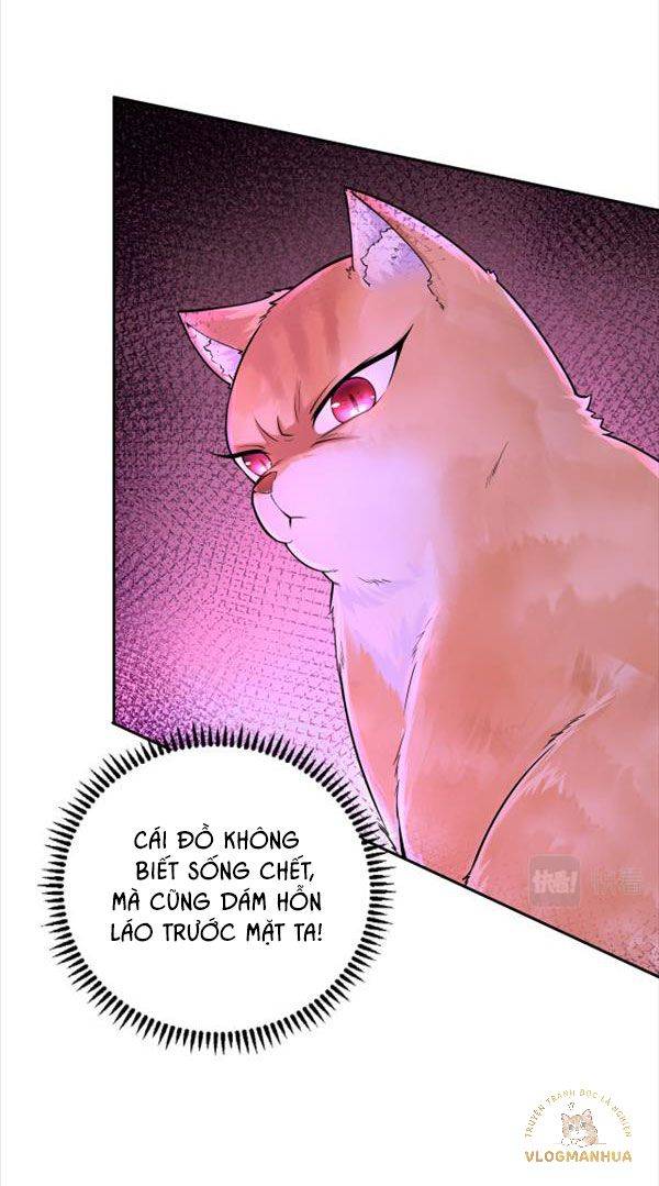 Ninita Yêu Dấu - Phần 2 Chap 943.6 - Next Chap 944.6