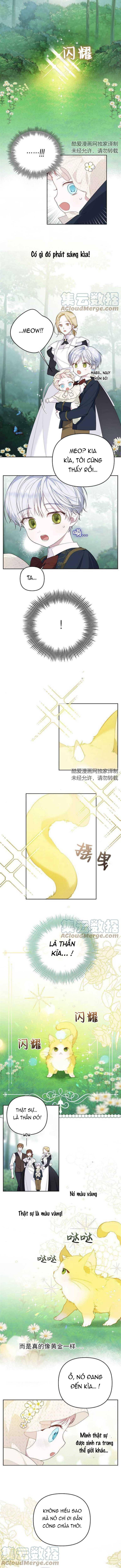 Ninita Yêu Dấu - Phần 2 Chap 950.3 - Next Chap 951.3