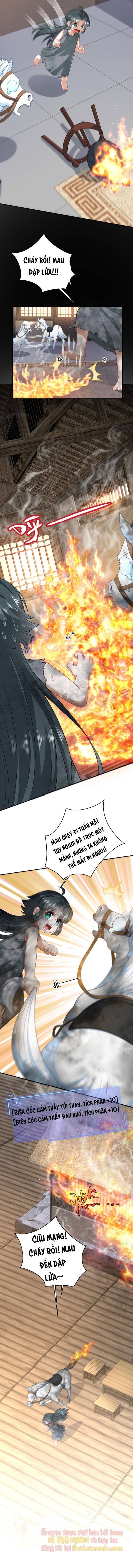 Ninita Yêu Dấu - Phần 2 Chap 960.1 - Next Chap 961.1