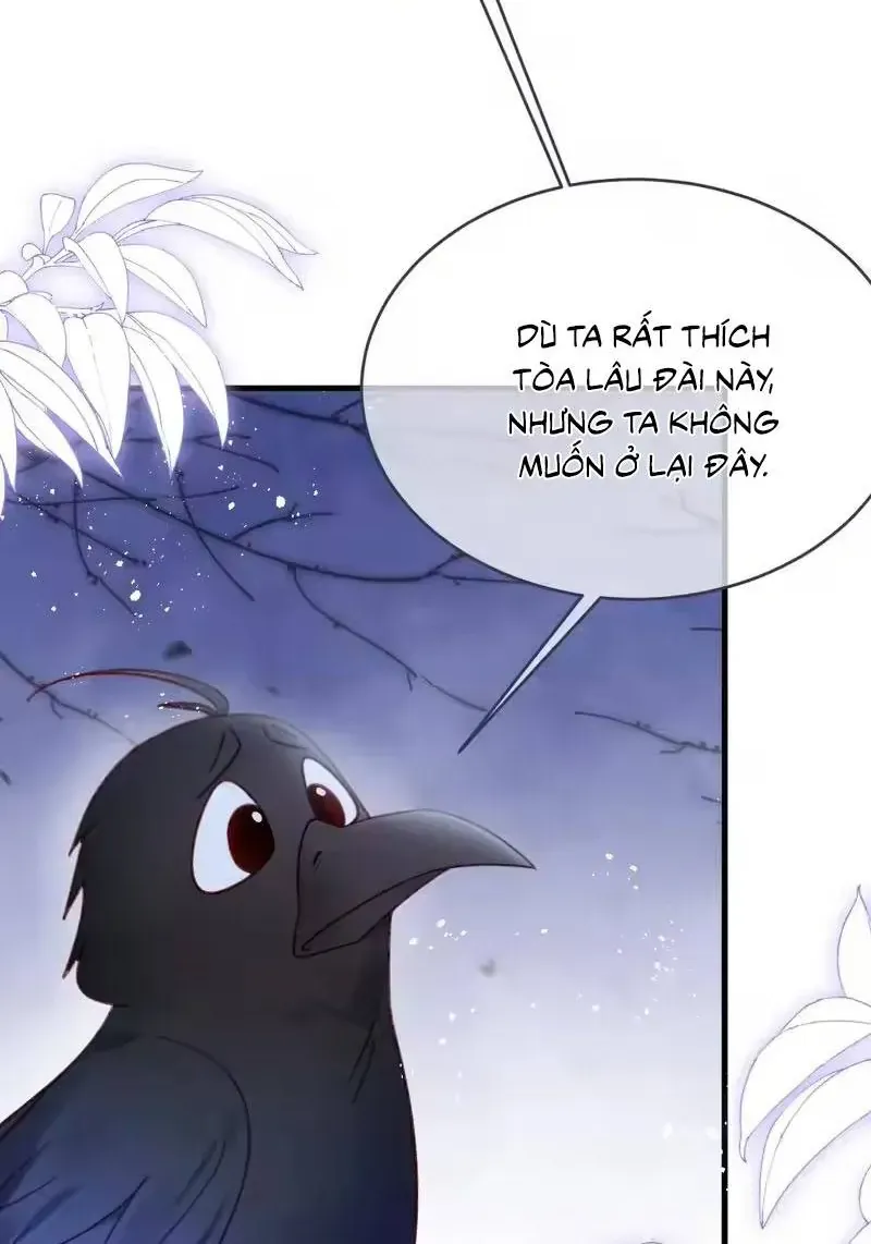 Ninita Yêu Dấu Chap 115 - Next Chap 116
