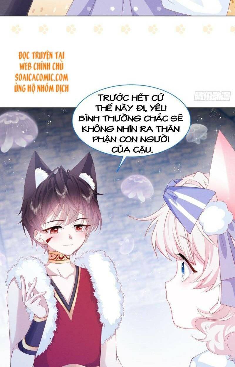 Ninita Yêu Dấu Chap 36 - Next Chap 37