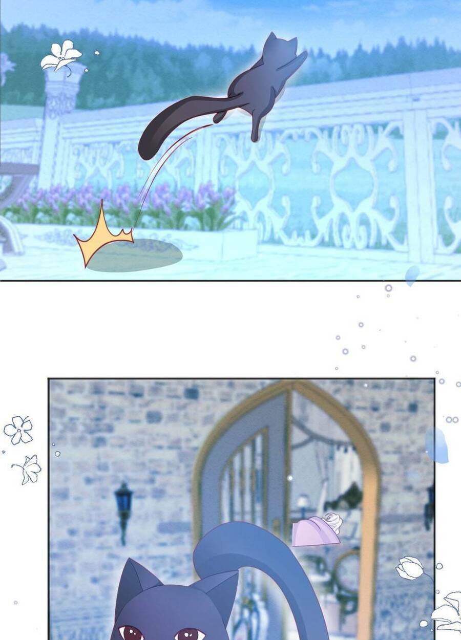 Ninita Yêu Dấu Chap 53 - Next Chap 54