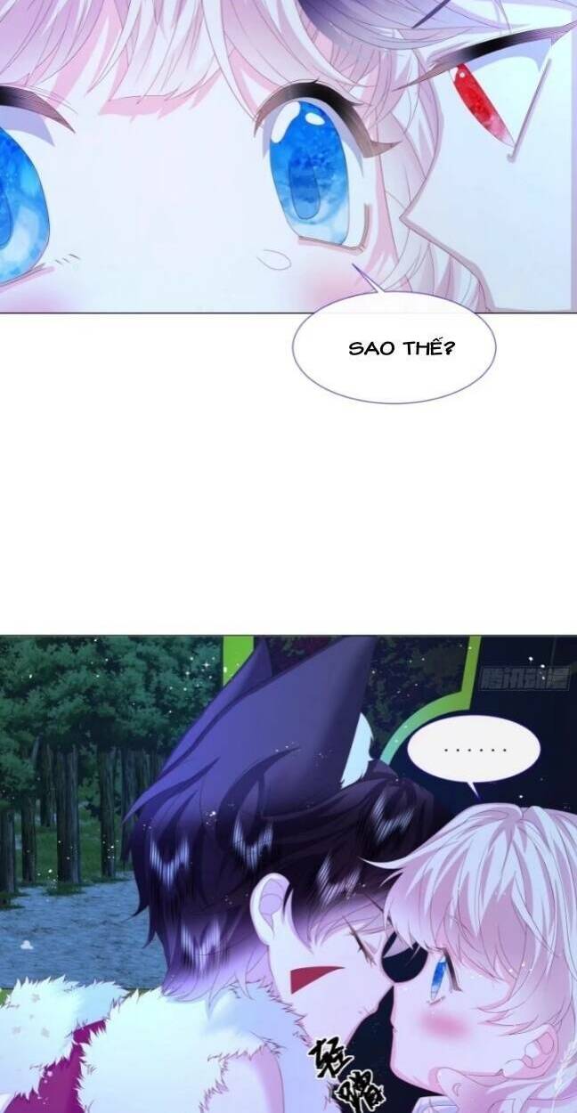 Ninita Yêu Dấu Chap 6 - Next Chap 7