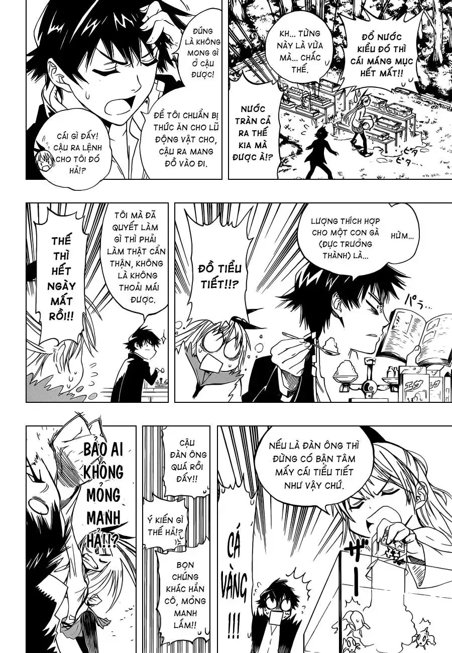 Nisekoi Chap 1 - Next Chap 2