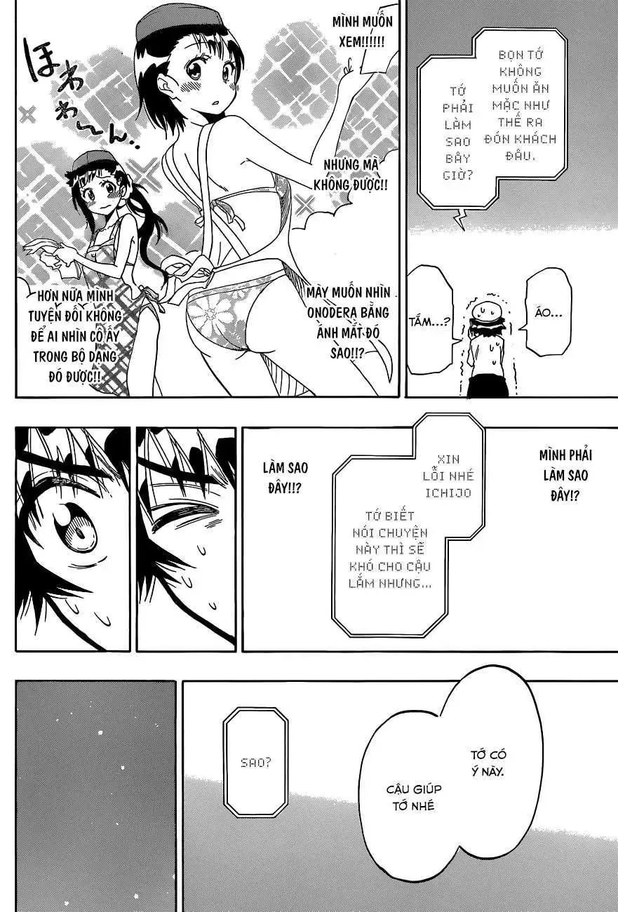 Nisekoi Chap 101 - Next Chap 102