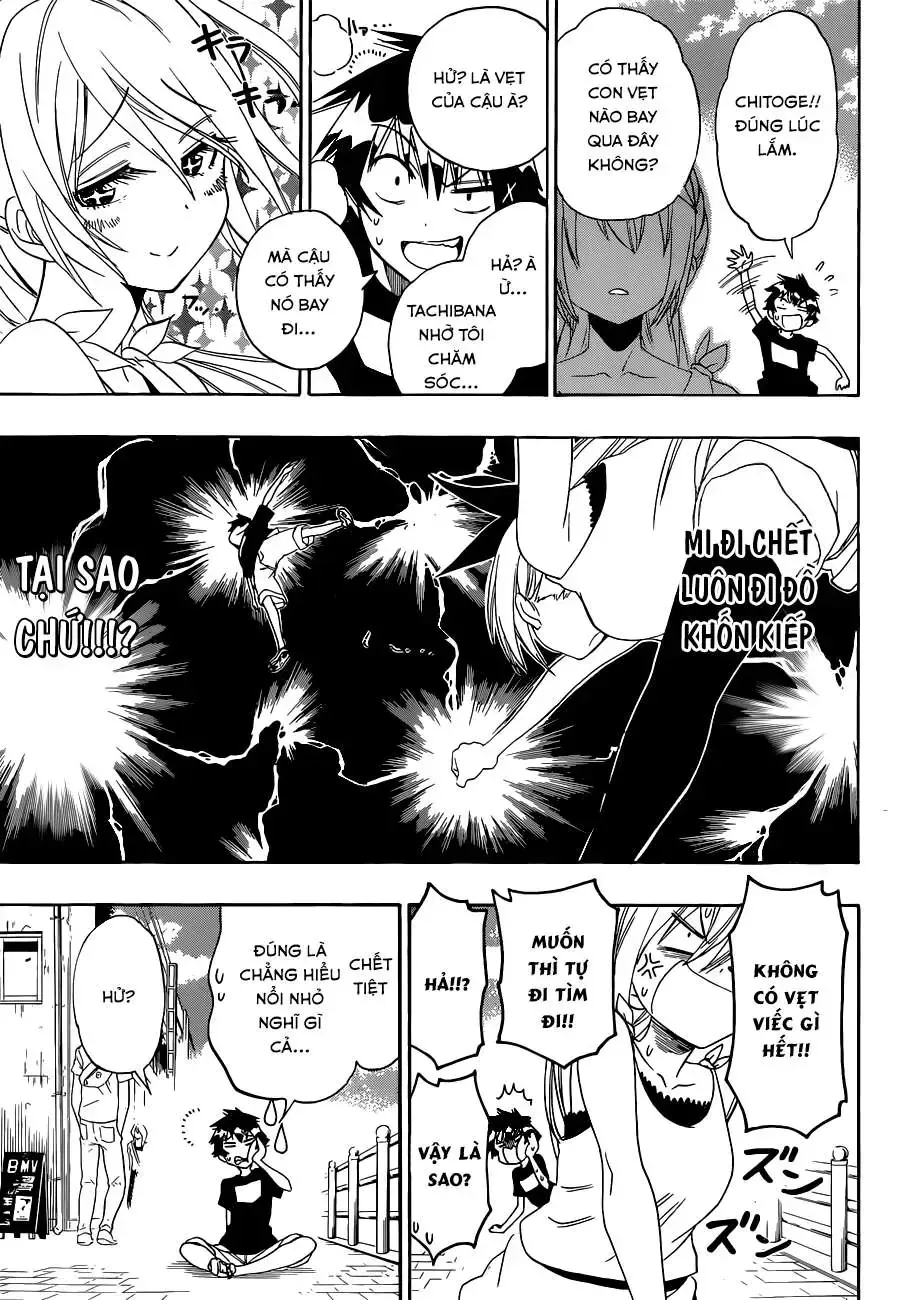 Nisekoi Chap 104 - Next Chap 105