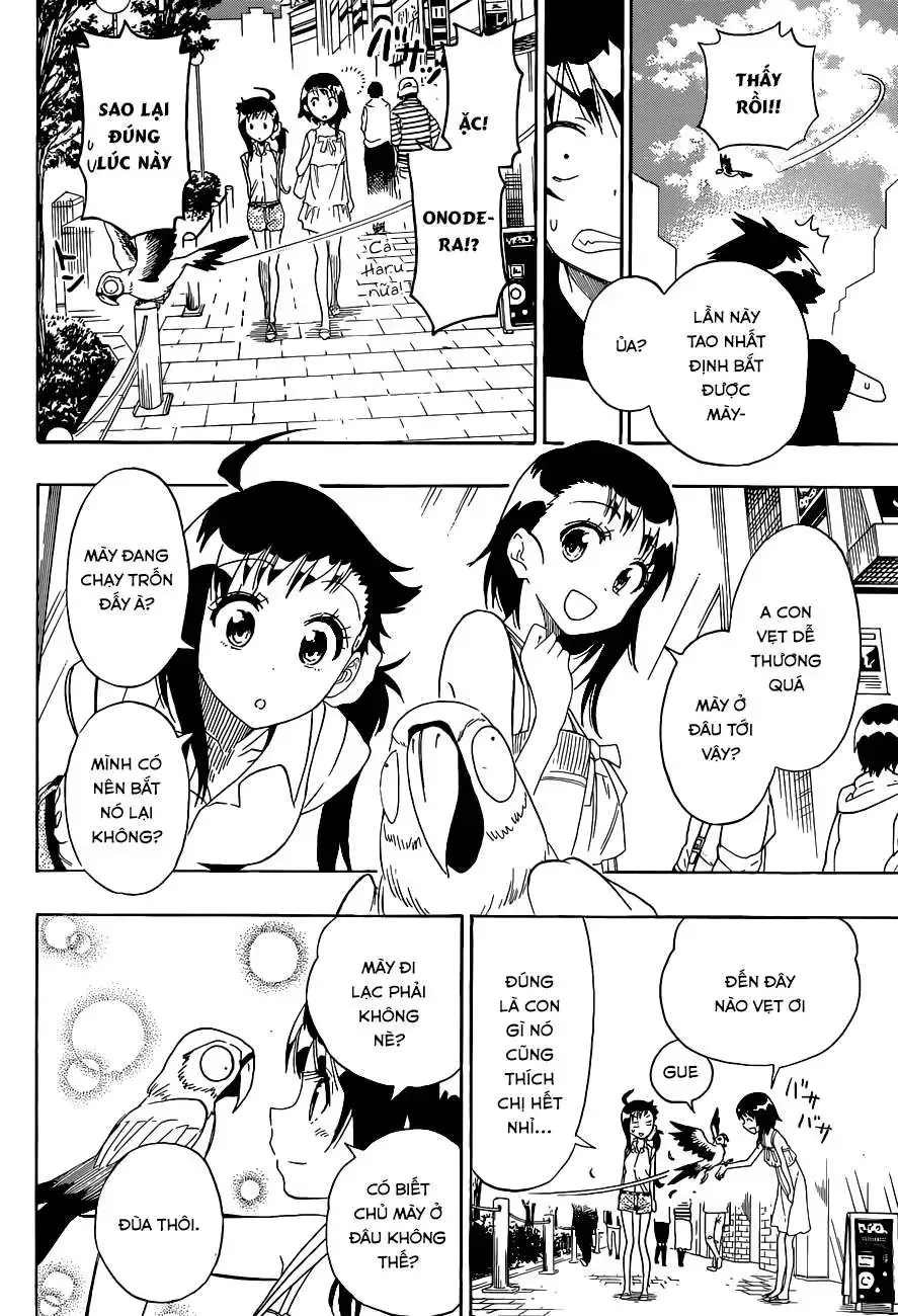 Nisekoi Chap 104 - Next Chap 105