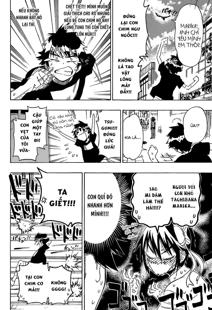 Nisekoi Chap 104 - Next Chap 105