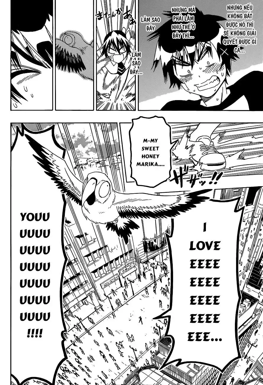 Nisekoi Chap 104 - Next Chap 105