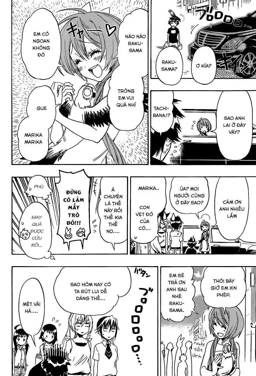 Nisekoi Chap 104 - Next Chap 105