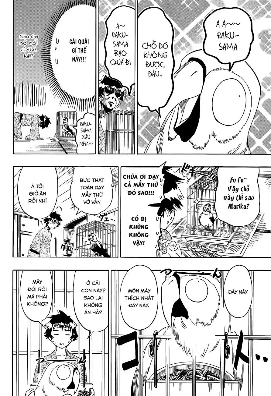 Nisekoi Chap 104 - Next Chap 105