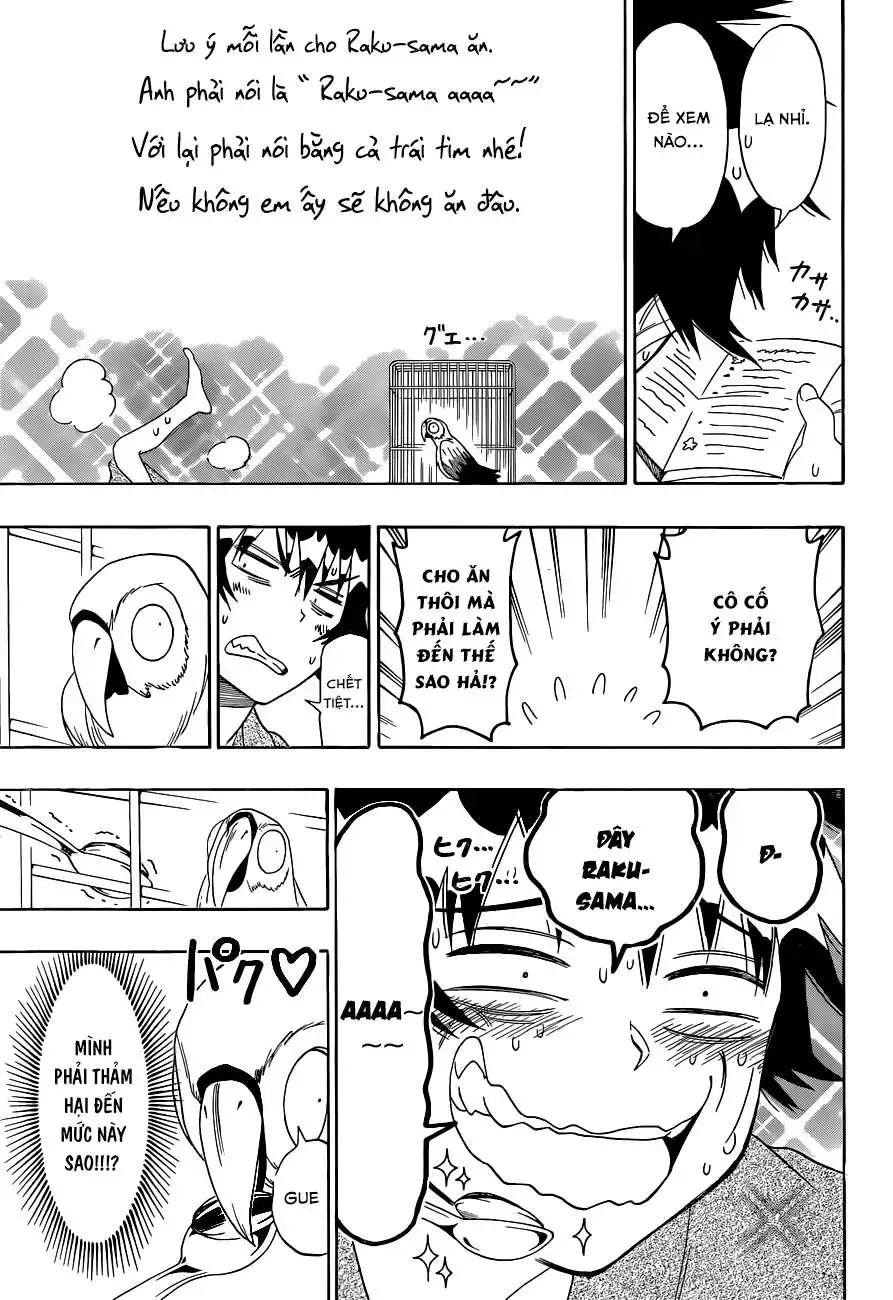 Nisekoi Chap 104 - Next Chap 105