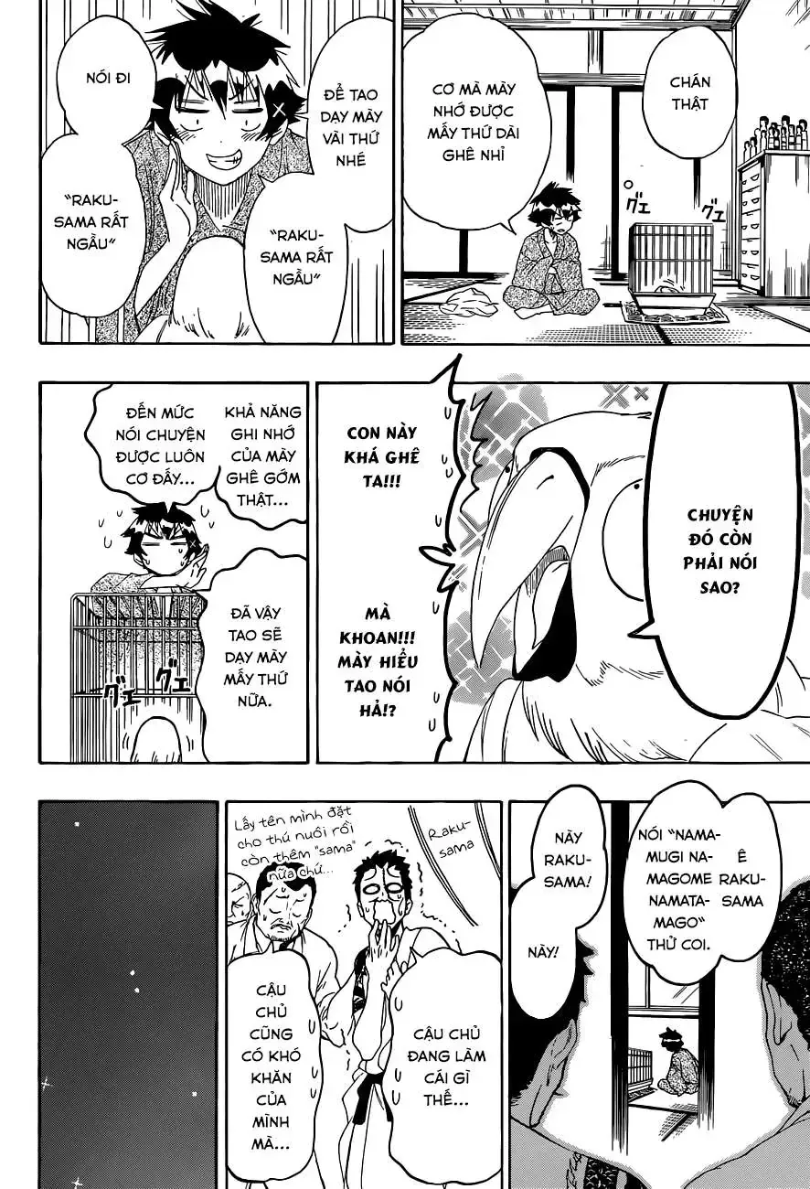 Nisekoi Chap 104 - Next Chap 105